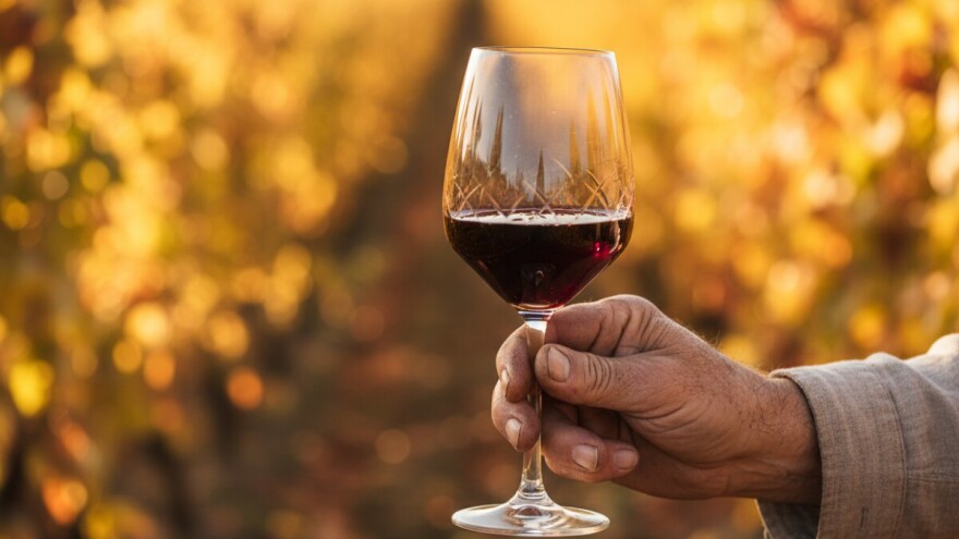 Jakovina se u Bruxellesu sastao s Hoganom