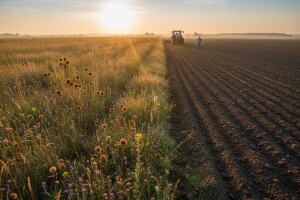 Jakovina: Uvjeren sam u uspjeh zemljišne reforme