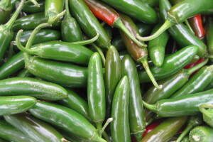 U uzgoju zelenih feferona Jalapeño zarada i do 3300 KM po dunumu