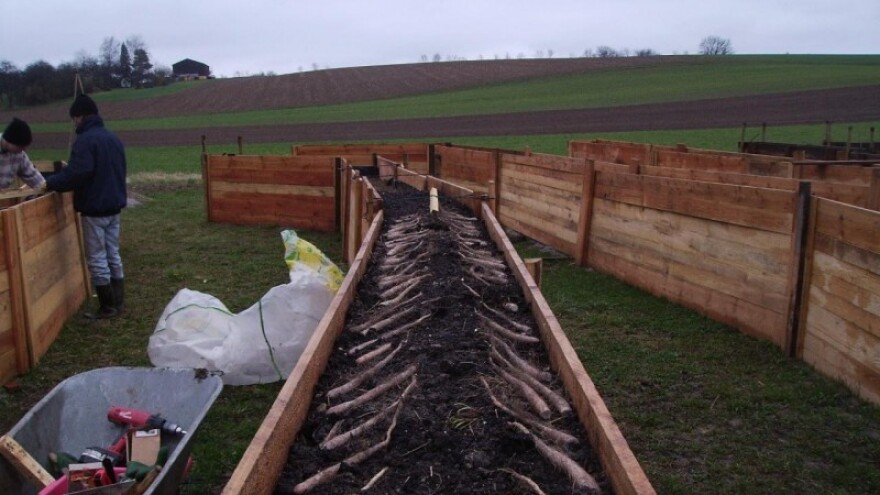Zbog svoje ljekovitosti zagorski jam sve traženiji