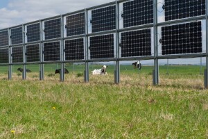 Solarne ograde za pašnjake postaju trend u poljoprivredi - višestruko su korisne