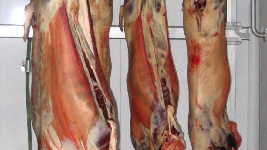 Paška janjetina još bez zaštite