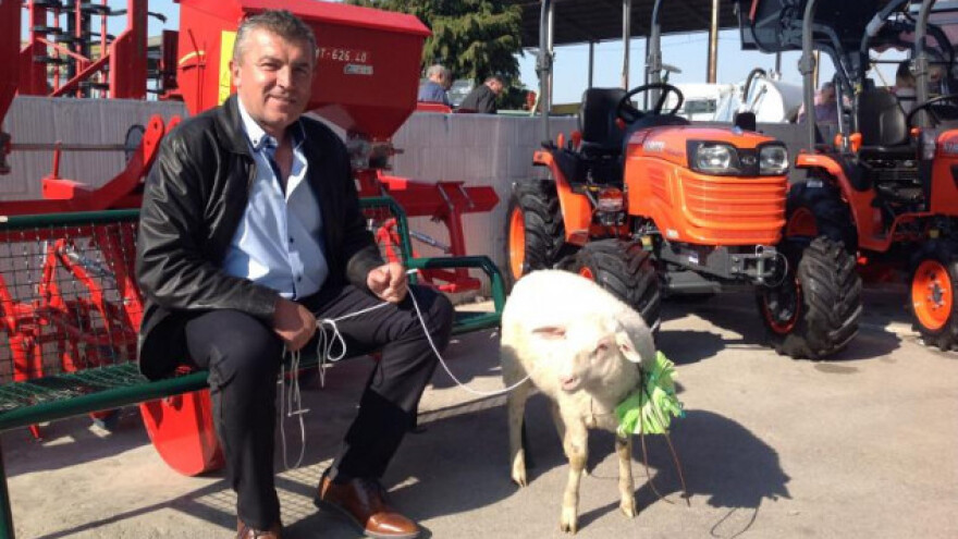 Prvoaprilsko jagnje za rođendan