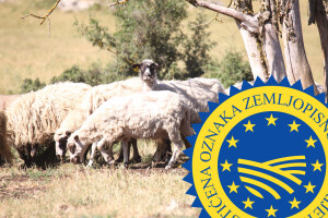 Lička janjetina je 20. hrvatski proizvod zaštićen na EU razini