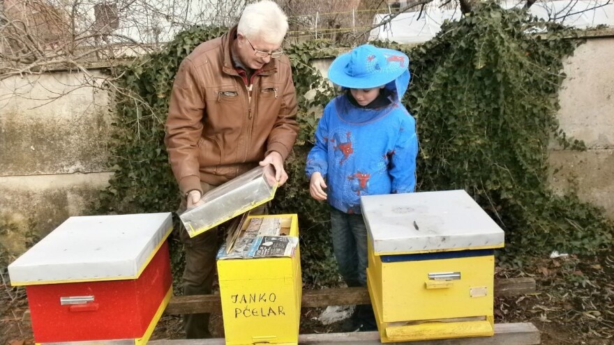 Janko Antić  je najmlađi pčelar u resavskom kraju
