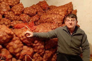 Dobio šest tona krompira na 10 ari, a koje sorte proizvodi?