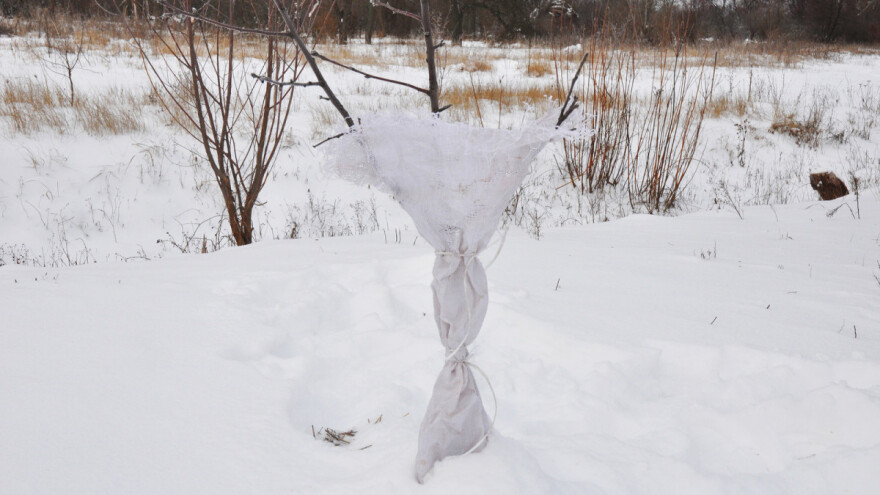 Koji se poljoprivredni poslovi obavljaju u siječnju?