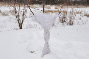 Koji se poljoprivredni poslovi obavljaju u januaru?