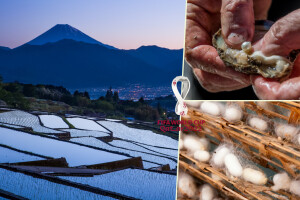 "Uzgajaju" bisere, dudove svilce, love kitove - kakva je poljoprivreda Japana?