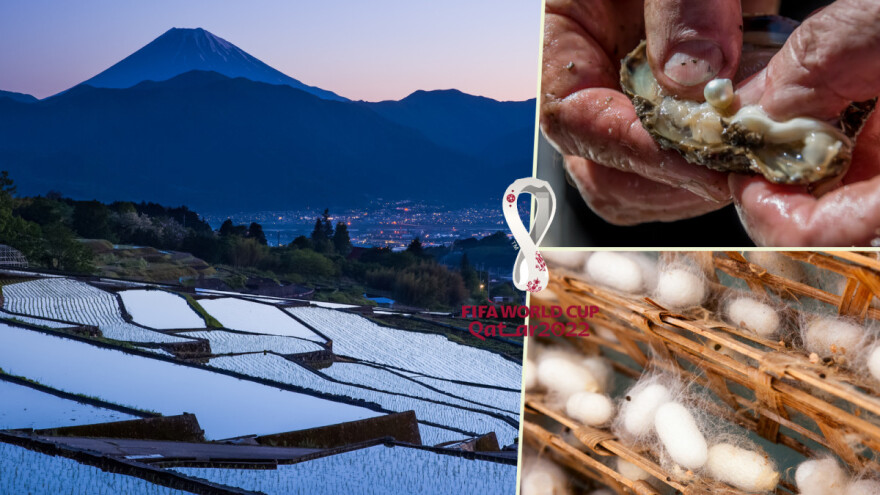 "Uzgajaju" bisere, dudove svilce, love kitove - kakva je poljoprivreda Japana?