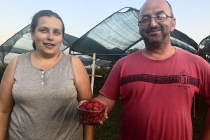 Jagode i maline OPG-a Šipušić: Ne tretiram jer ne bih htio prodavati vašoj djeci ono što ne bih dao svojoj