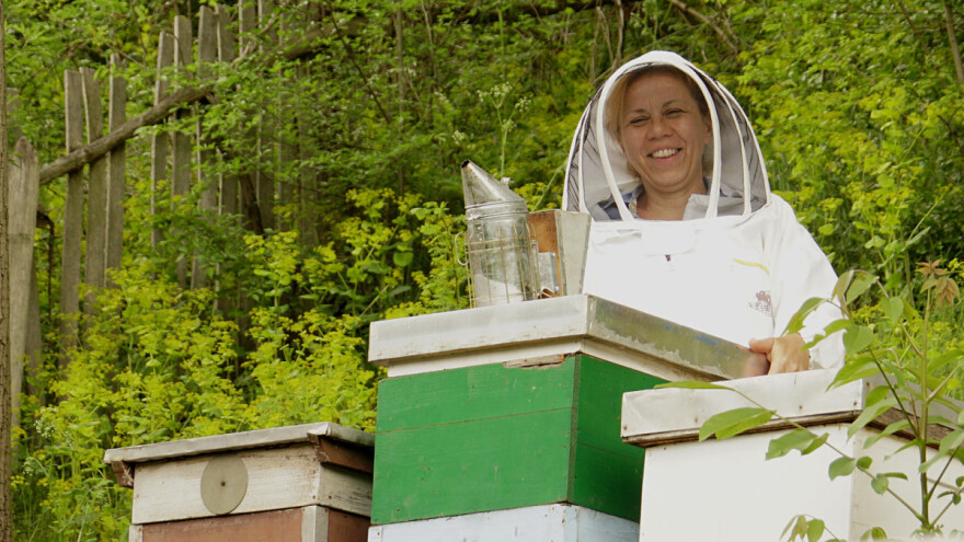 Od ordena kralja Aleksandra Karađorđevića do medomata