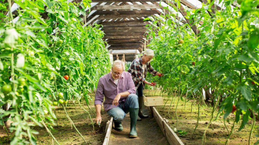 Javnost o Nacrtu Pravilnika za podmjeru 6.2.