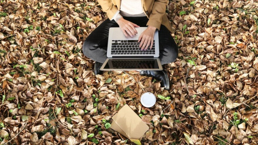 Javnost o Pravilniku za poslove zdravstvene zaštite bilja