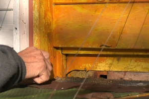 Pčelari obilaze pčelinjake i nadaju se pravoj zimi posle loše godine