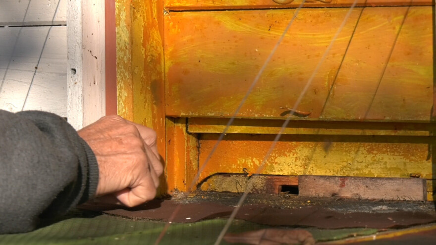 Pčelari obilaze pčelinjake i nadaju se pravoj zimi posle loše godine