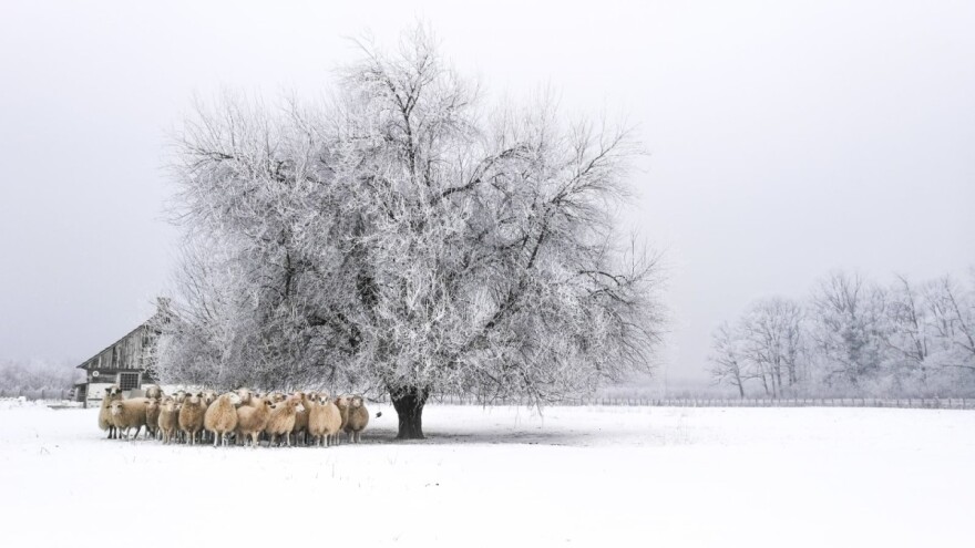 "Čarolija u bijelom" Ivana Kovačića pobjednica natječaja Volim svoju županiju