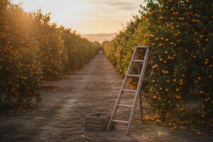 Je li doista toliki problem doraditi zakon o zapošljavanju stranaca?