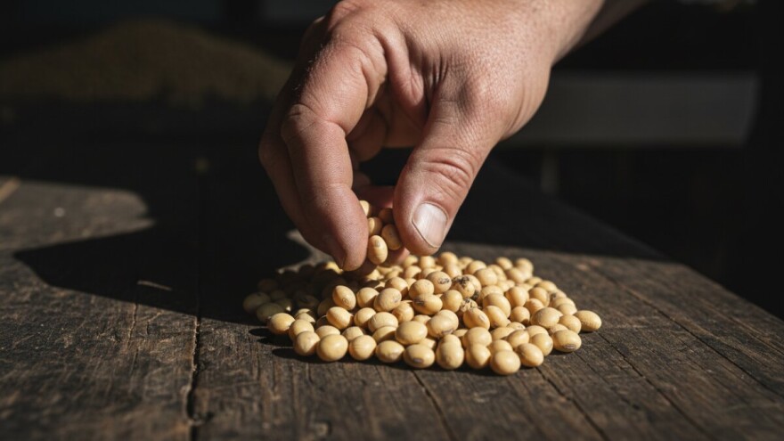 Je li GMO soja na mala vrata ušla u Hrvatsku?