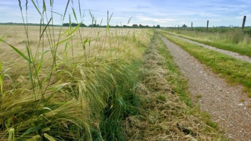 OPG Horvat - tradicijom i znanjem do kvalitetnog proizvoda