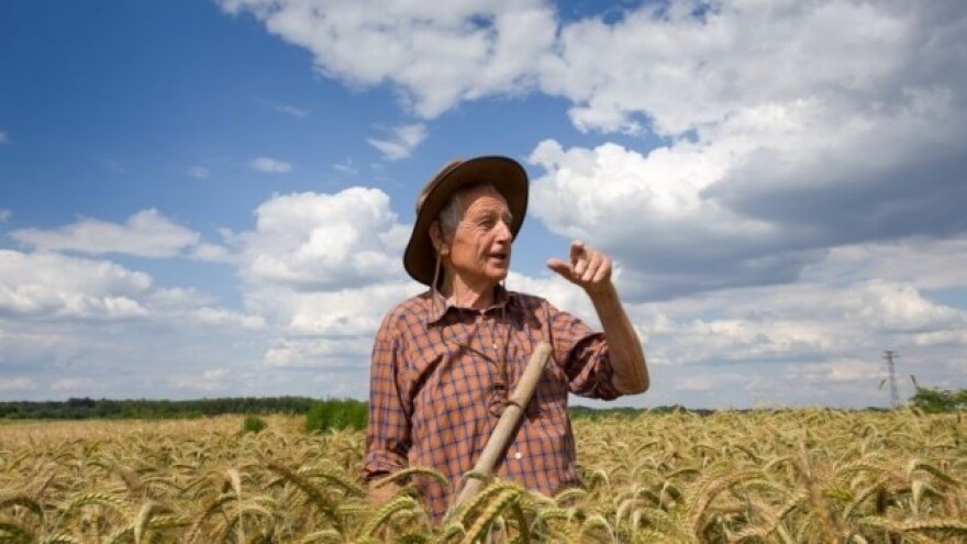 Velika potražnja za evropskim ječmom!