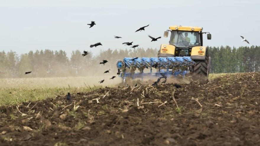 Ruska pšenica i britanski ječam osvojili tržište