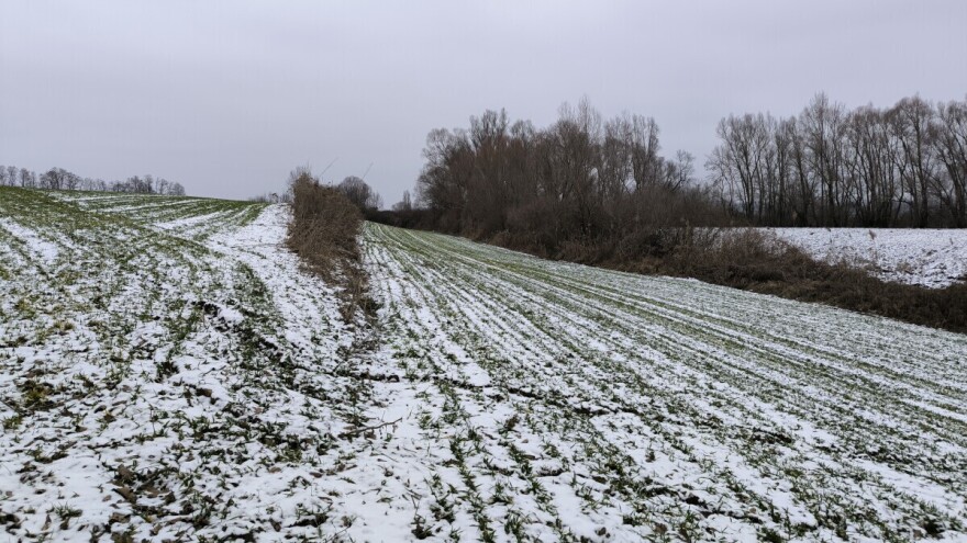 Snijeg kao saveznik: Niske temperature pod bijelim pokrivačem ne prijete ozimim kulturama