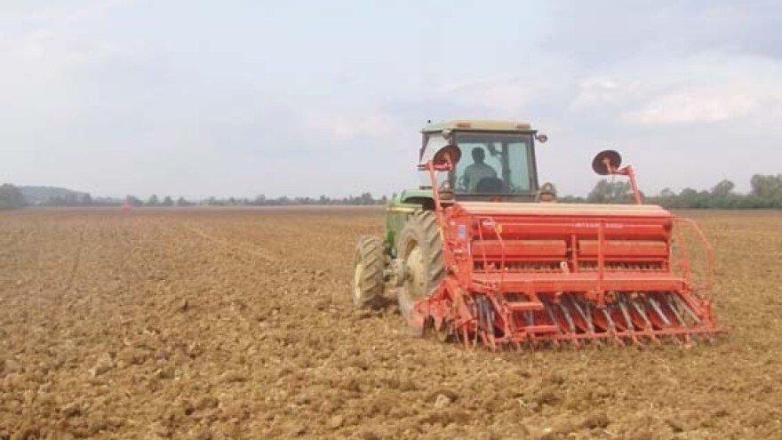 Jesenska sjetva proljetnog ječma = odličan urod