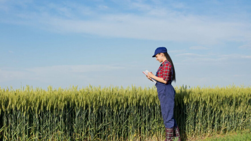 Crnomorske zemlje izvoze 30% svjetskog ječma