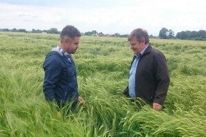 Ratari strahuju od vrlo niskih otkupnih cijena