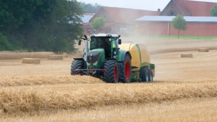 Dobre prognoze za ječam