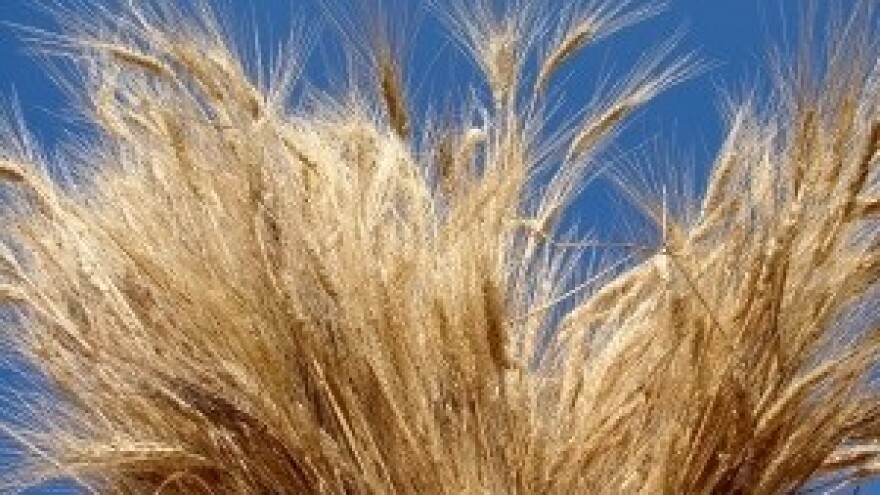 Ulazak u EU izazov za poljoprivrednu i prehrambenu industriju