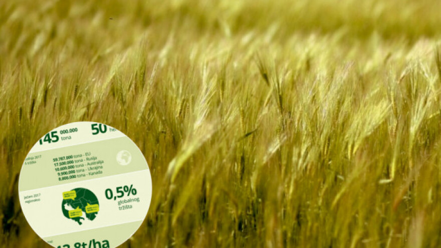 [Infografika] Ječam, globalna žitarica broj 4