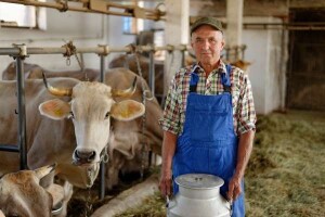 Jedina zemlja u Europi bez jedinstvenog MP!
