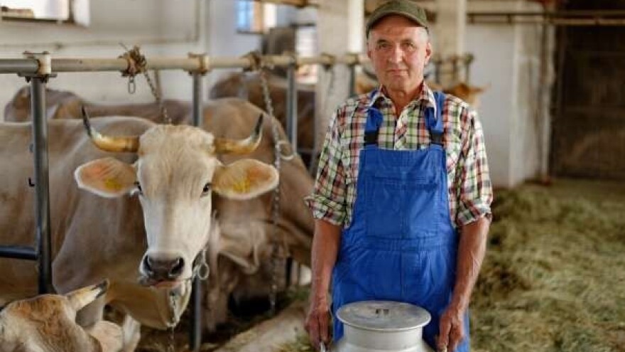 Jedina zemlja u Europi bez jedinstvenog MP!