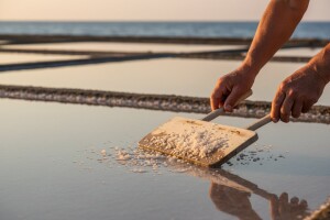 Jedina solana na Jadranu s ekološkim certifikatom