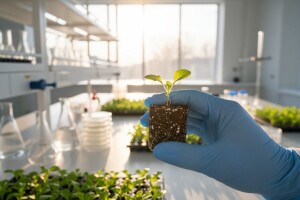 Jedini imaju laboratorij za bezvirusne sadnice