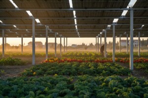 Jedinstvena solarna elektrana u Medincima