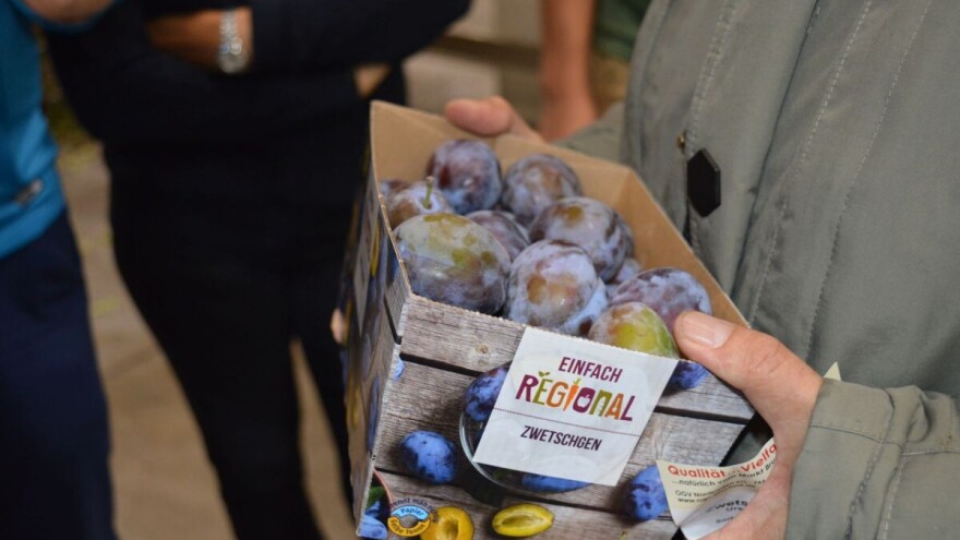 Studijsko putovanje: Njemačka želi balkansku šljivu?