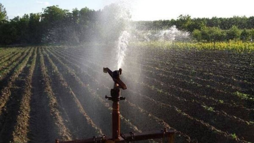 Organski krompir - zaštitni znak biofarme Šoškić