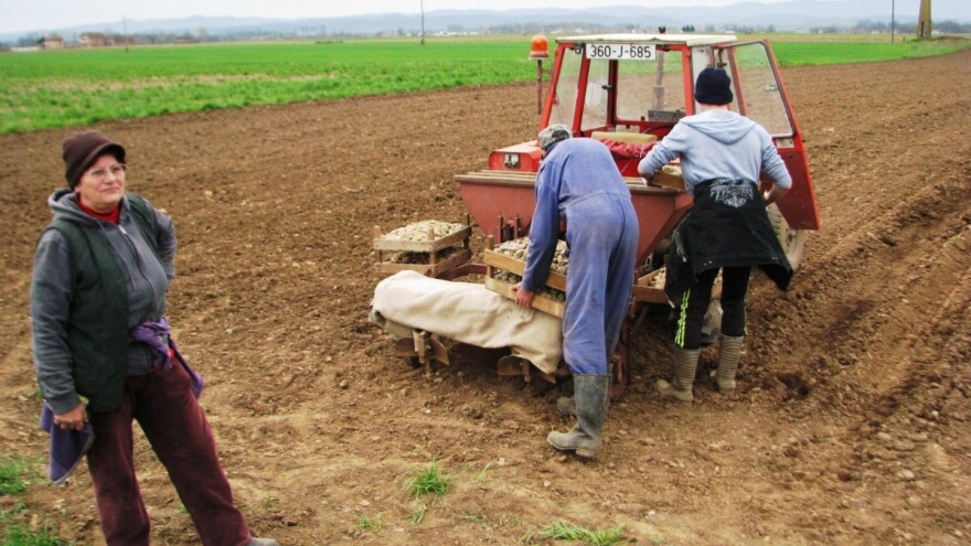 U Posavini priželjkuju više sunca, a u Lijevče polju kišu