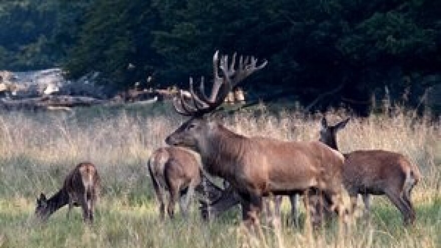Europski vjetar u leđa hrvatskom lovstvu