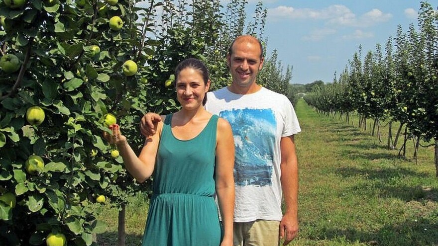 Kancelarijske poslove zamenili proizvodnjom voća i povrća