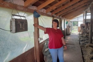 Za uspjeh u mliječnom govedarstvu potrebna ljubav i briga o stoci, ali i "narodnjaci"?