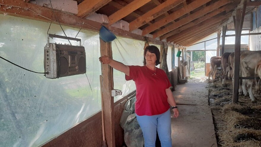 Za uspjeh u mliječnom govedarstvu potrebna ljubav i briga o stoci, ali i "narodnjaci"?