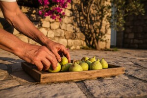 Jematva branja i sušenja smokava bjelica