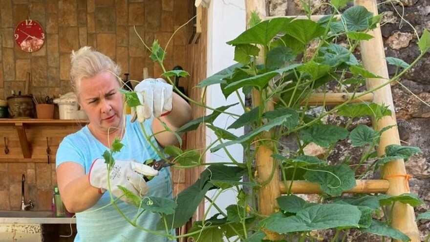 S Balija po stare sorte voća: Željka Jerman ima planove za povratak u domovinu