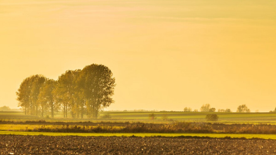 Na poljima prava jesen