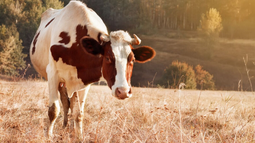 Topla jesen se nastavlja