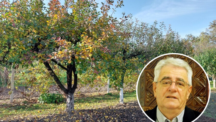 Sveta Kata, ali bez snijega na vrata